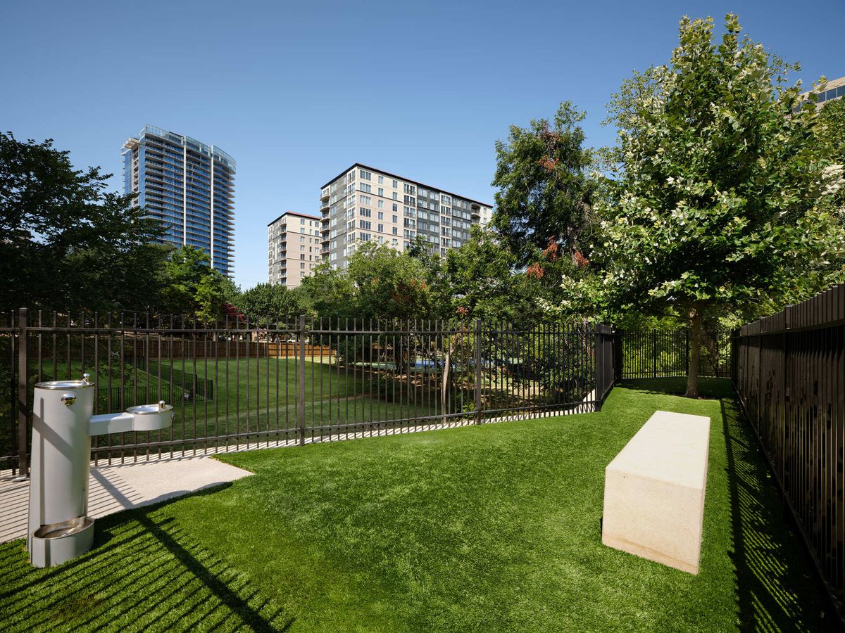 Pet Park